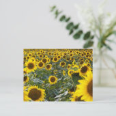 Sommersonnendusche Postkarte (Stehend Vorderseite)