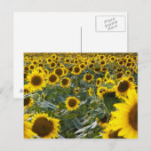 Sommersonnendusche Postkarte (Vorne/Hinten)