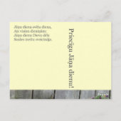 Sommersonnenkarte Postkarte (Rückseite)