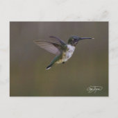 Sommerspass Postkarte (Vorderseite)