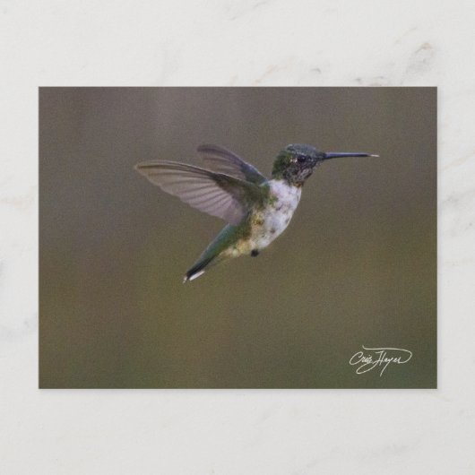 Sommerspass Postkarte (Vorderseite)