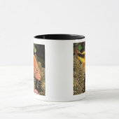 Sommersprossige hawkfish Stangen auf steinigen Tasse (Zentrum)