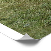 Sommerstrand Poster (Ecke)