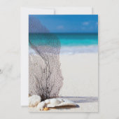 Sommerstrand Seashell Blue Tropical Geburtstag Einladung (Rückseite)