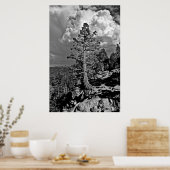 Sommersturm Lake Tahoe, Poster (Küche)