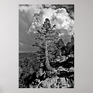 Sommersturm Lake Tahoe, Poster