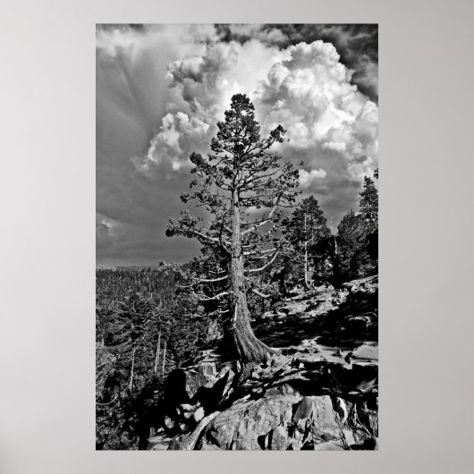 Sommersturm Lake Tahoe, Poster (Vorne)