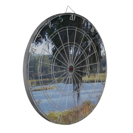 Sommersüdliche Seespiegelung Dartscheibe (Vorderseite Links)