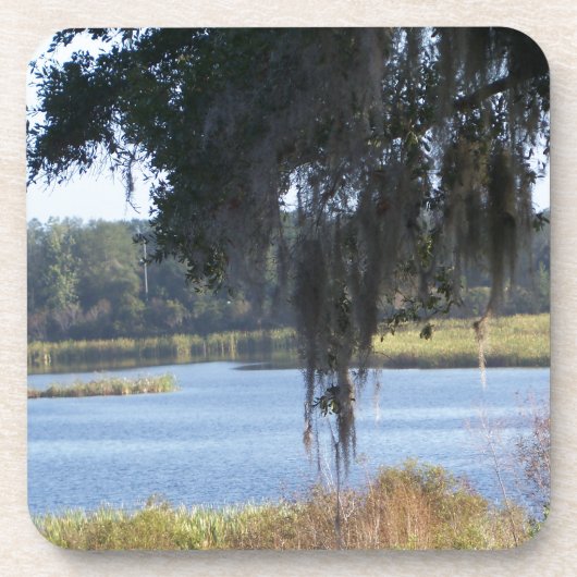 Sommersüdliche Seespiegelung Getränkeuntersetzer (Vorderseite)