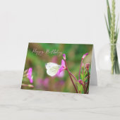 Sommersüßer Geburtstag Karte (Vorderseite)