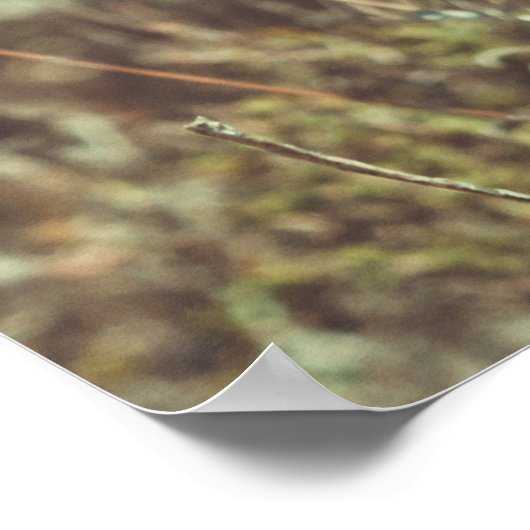 Sommertag an der Küste Poster (Ecke)