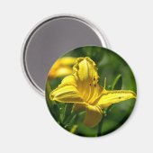 Sommertag Magnet (Vorderseite/Rückseite)