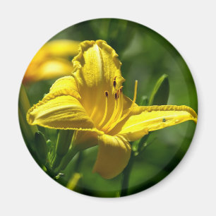 Sommertag Magnet