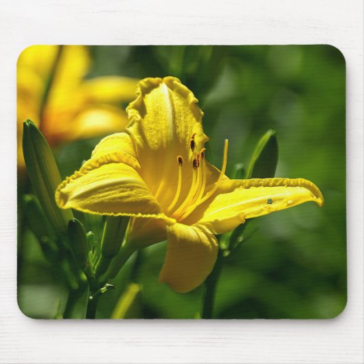 Sommertag Mousepad (Vorne)