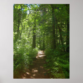 Sommertage (6) Poster