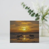 Sommertage der Hunde Postkarte (Stehend Vorderseite)