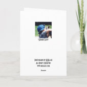 Sommertage - "Fast groß genug" Karte (Rückseite)