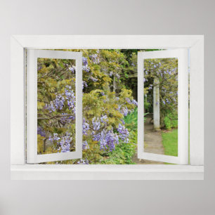 Sommertage - Open Window View mit Blue Wisteria Poster