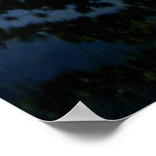 Sommertauchköpfe...... Poster (Ecke)