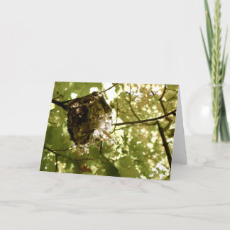 Sommertrimester - Vireo-Nest-Gruß-Karte Karte