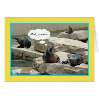 Sommerurlaub! Zeit für Chillaxin