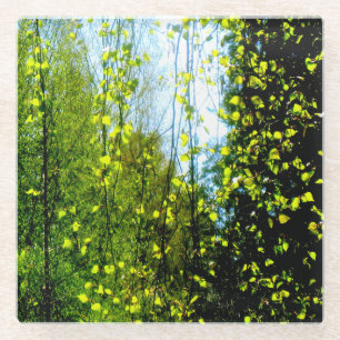 Sommervorhang Glasuntersetzer