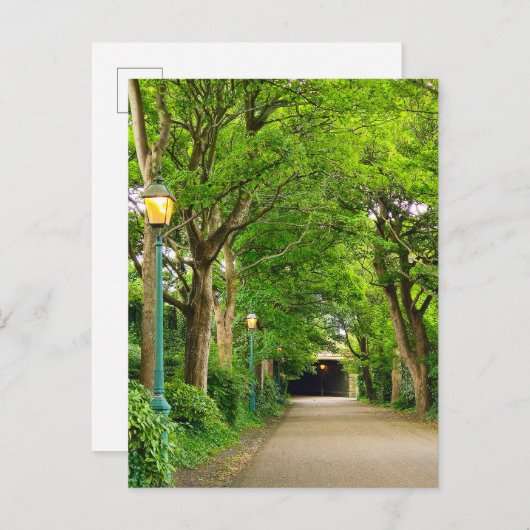 Sommervormittag Postkarte (Vorne/Hinten)