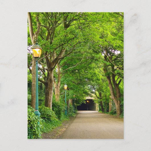 Sommervormittag Postkarte (Vorderseite)