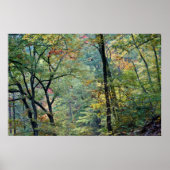 Sommerwald mit Touchs im Herbst Poster (Vorne)