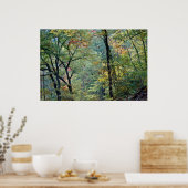 Sommerwald mit Touchs im Herbst Poster (Küche)