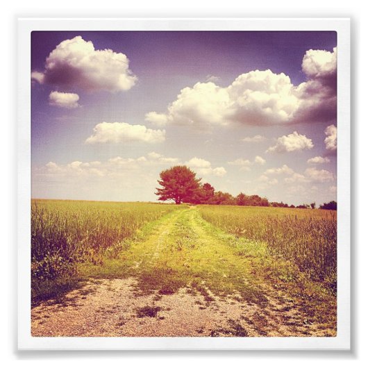 Sommerweg Fotodruck (Vorne)