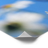 Sommerweiße Poster (Ecke)