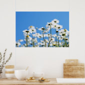 Sommerweiße Poster (Küche)