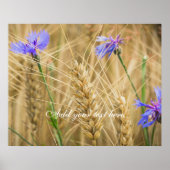 Sommerweizenfeld mit blauen Kornblumen Poster (Vorne)