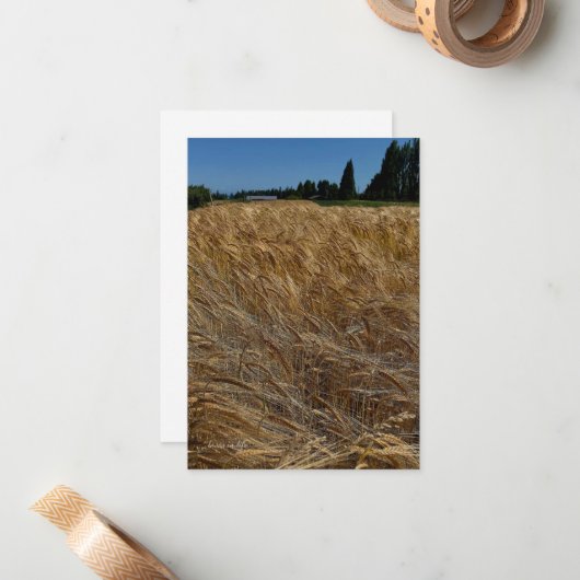Sommerweizenfeld Mitteilungskarte (Vorderseite/Rückseite Beispiel)