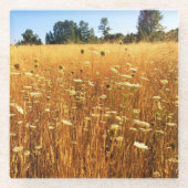 Sommerwiese Glasuntersetzer (Vorderseite)