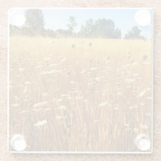 Sommerwiese Glasuntersetzer (Rückseite)