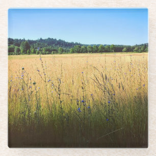 Sommerwiese mit blauen Wildblumen Glasuntersetzer
