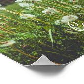 Sommerwiese mit Leuchten Poster (Ecke)