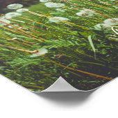 Sommerwiese mit Leuchten Poster (Ecke)