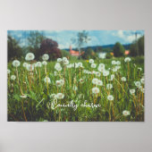 Sommerwiese mit Leuchten Poster (Vorne)