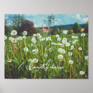 Sommerwiese mit Löwenzahn Poster