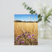 Sommerwiese mit Milk Thistle Postkarte (Stehend Vorderseite)