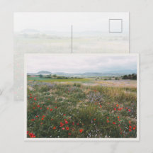 Sommerwiese, Träumende Cottagecore-Landschaft