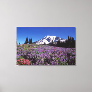 Sommerwildblumen am Fuße des Mount Rainier, Leinwanddruck