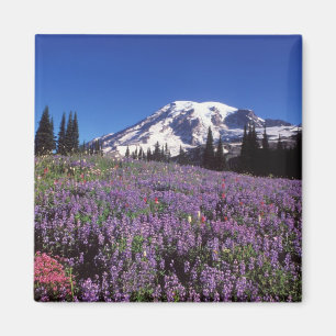 Sommerwildblumen am Fuße des Mount Rainier, Magnet