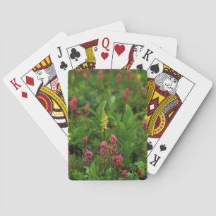 Sommerwildblumen entfalten ein Farbenmeer Spielkarten