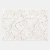 Sommerwind Grapefruit Pfirsich Geburtstag Geschenkpapier Set (Vorderseite 3)