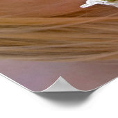 Sommerwind Poster (Ecke)