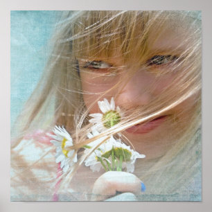Sommerwind Poster